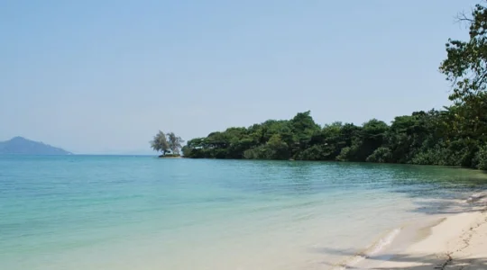 ナカ島